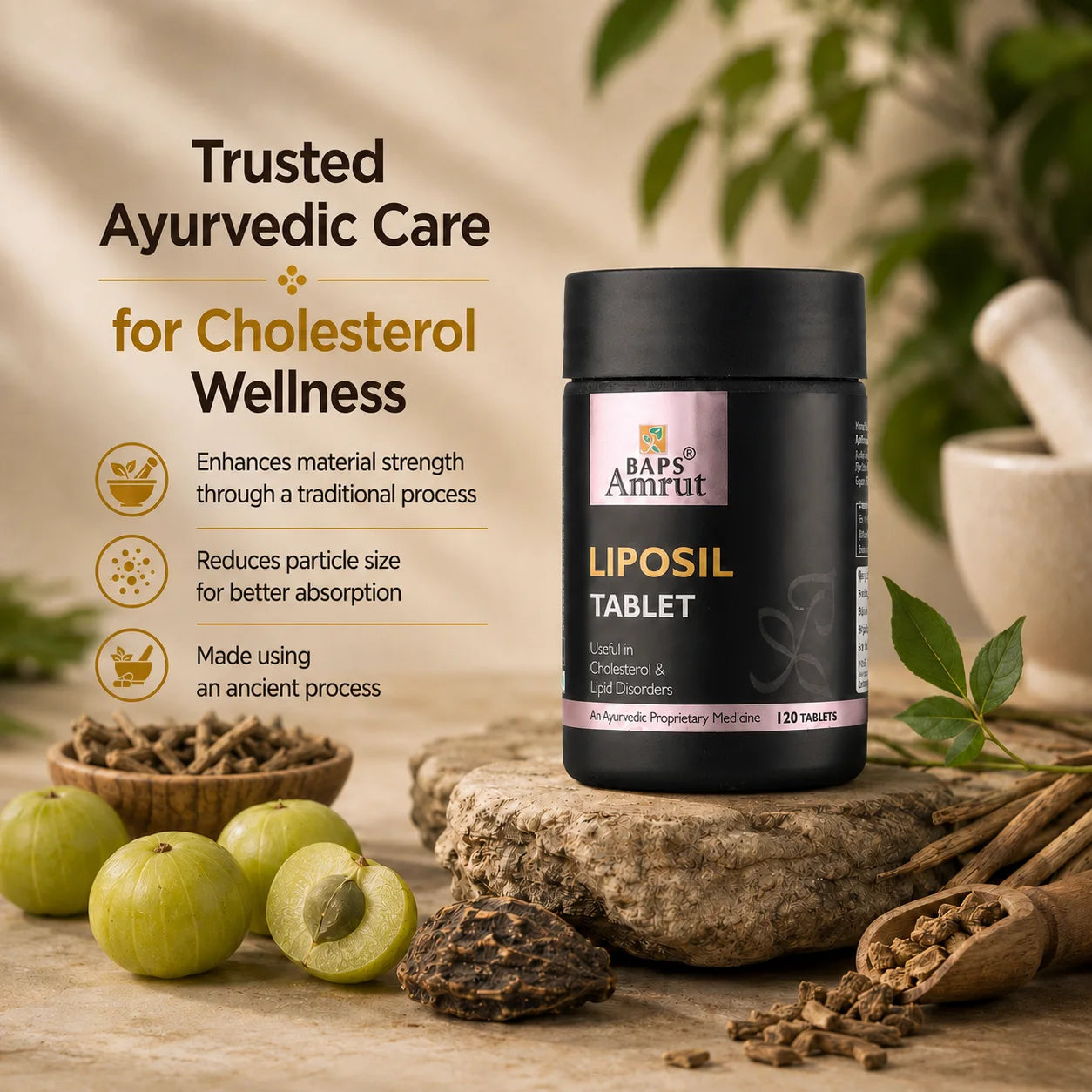 Liposil Tablet