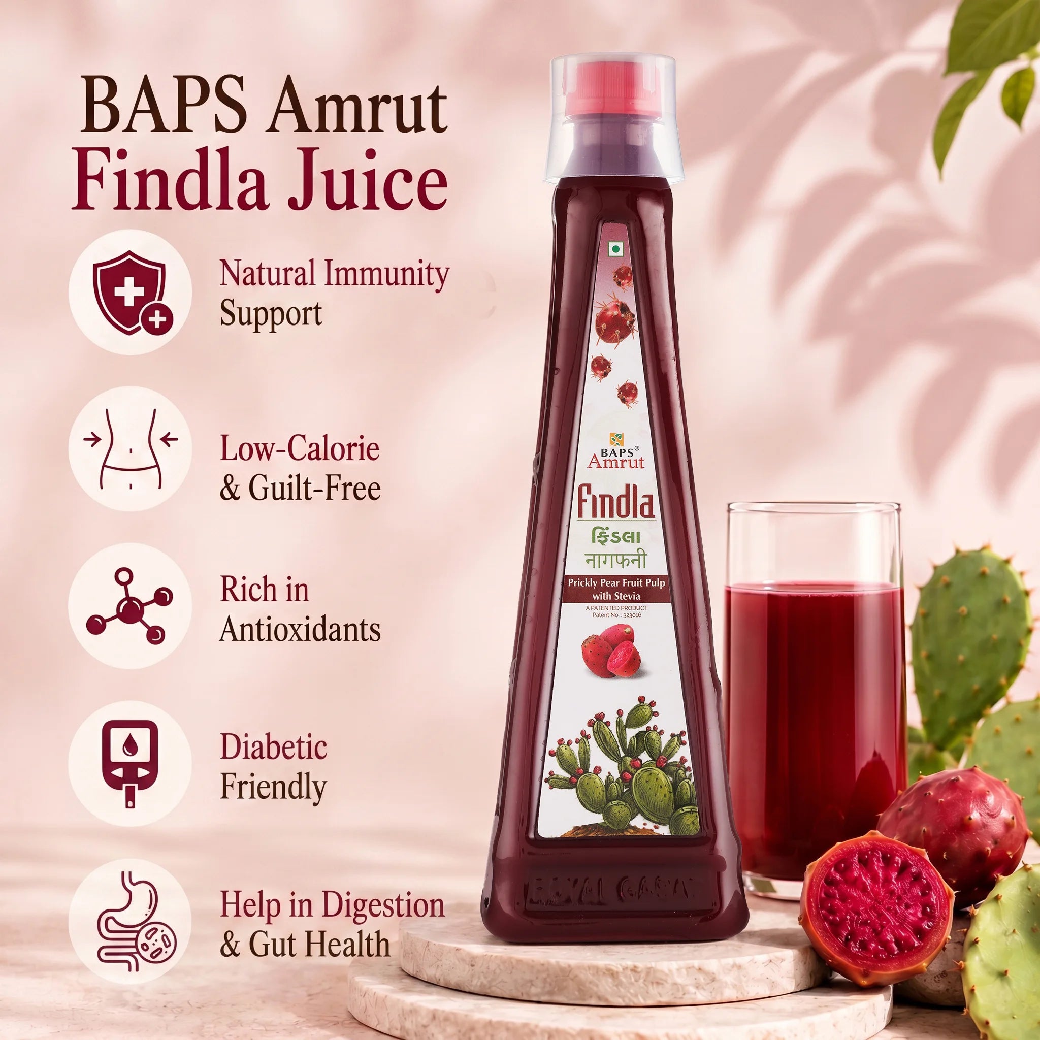 Findla Juice (With Stevia)